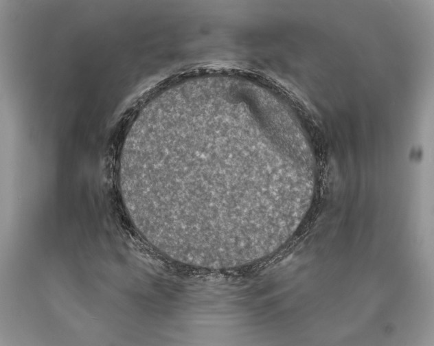 X0000089961207200707271854