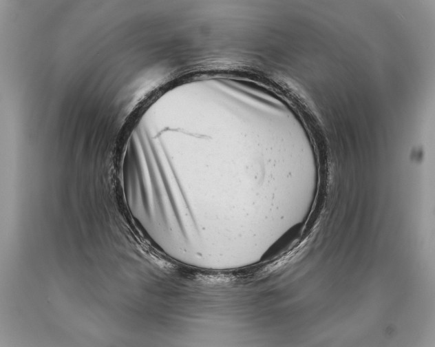 X0000089961210200707271854