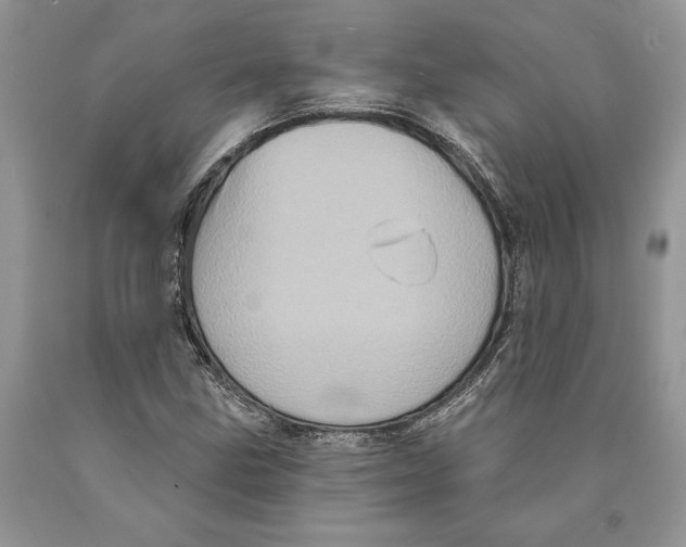 X0000089961211200707271854