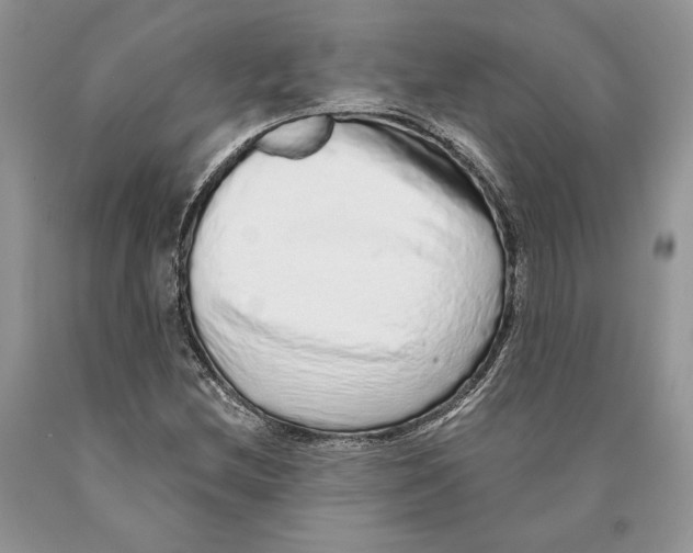 X0000089961212200707271854