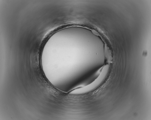 X0000089961214200707271854