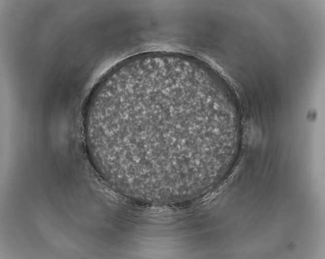 X0000089961215200707271854