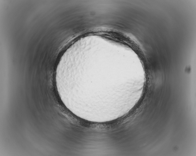 X0000089961217200707271854