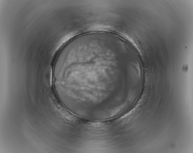 X0000089961219200707271854