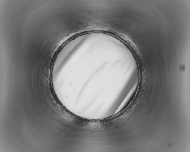 X0000089961220200707271854