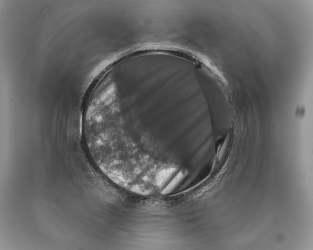 X0000089961221200707271854