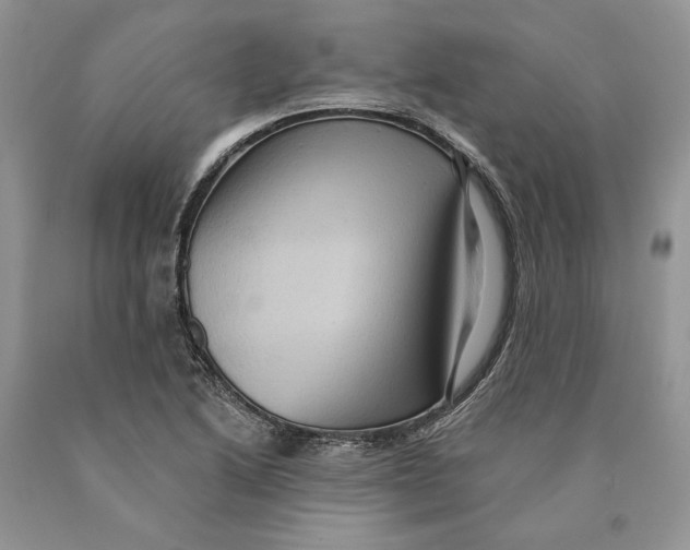 X0000089961222200707271854