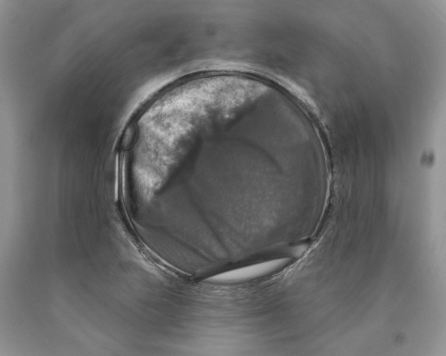 X0000089961223200707271854