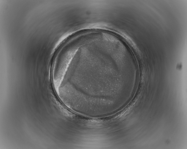 X0000089961224200707271854