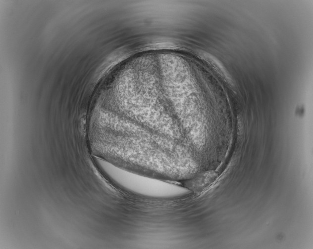 X0000089961225200707271854