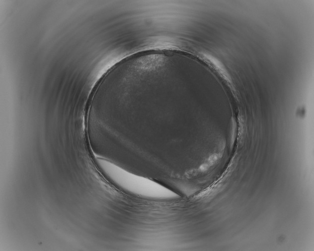 X0000089961226200707271854