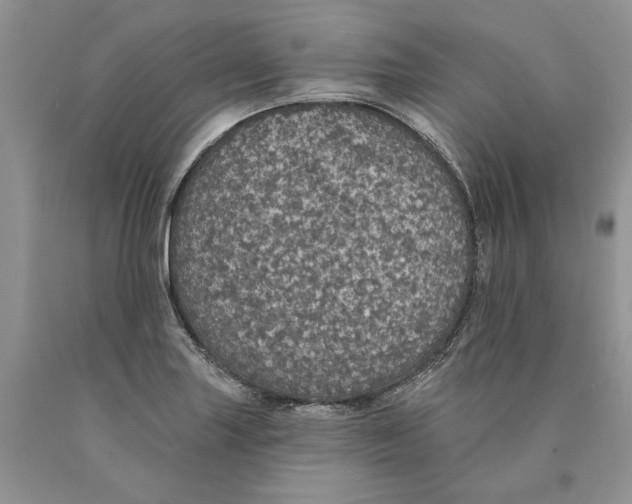 X0000089961227200707271854