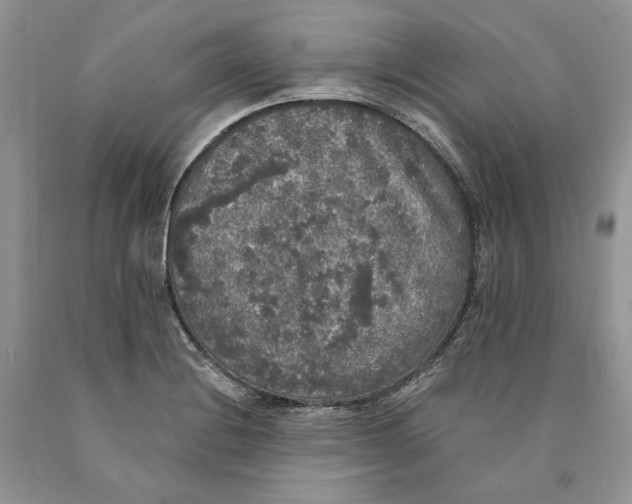 X0000089961228200707271854