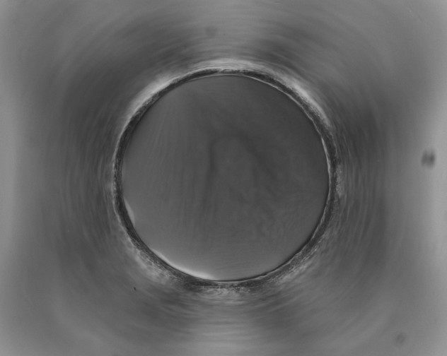 X0000089961229200707271854