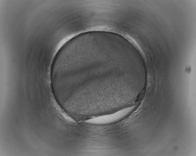 X0000089961230200707271854