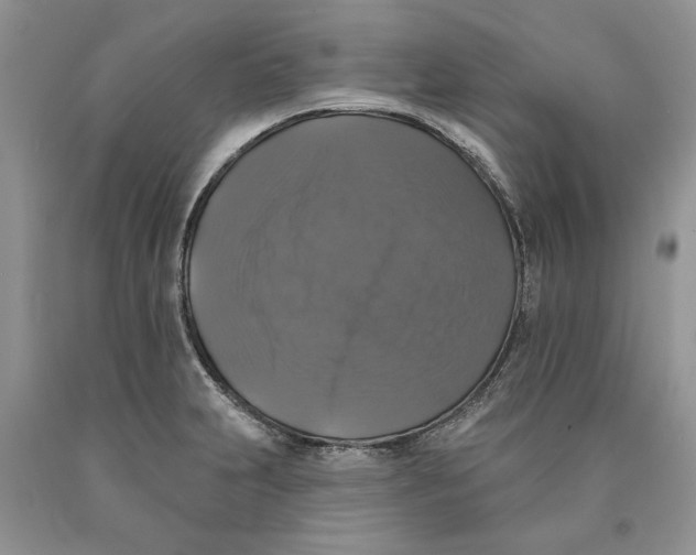 X0000089961231200707271854