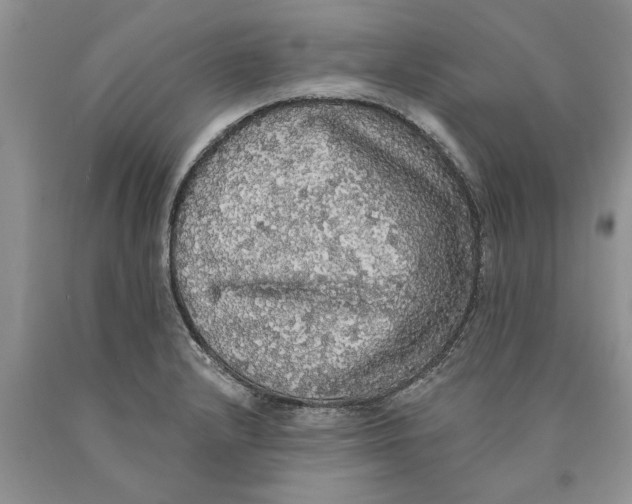 X0000089961232200707271854