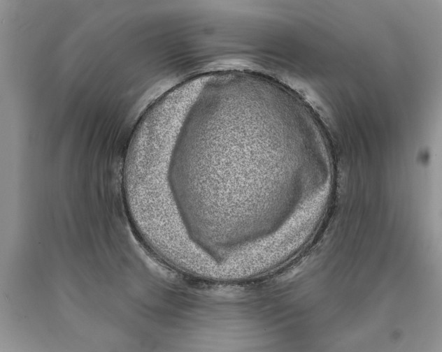 X0000089961233200707271854