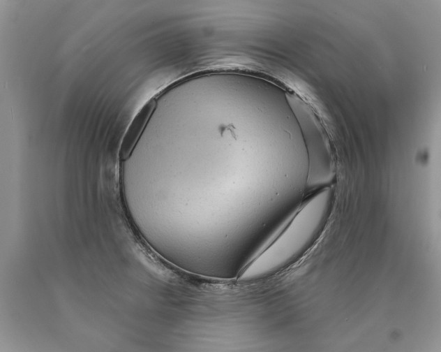 X0000089961234200707271854