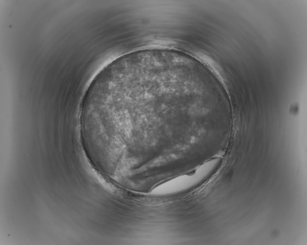 X0000089961235200707271854