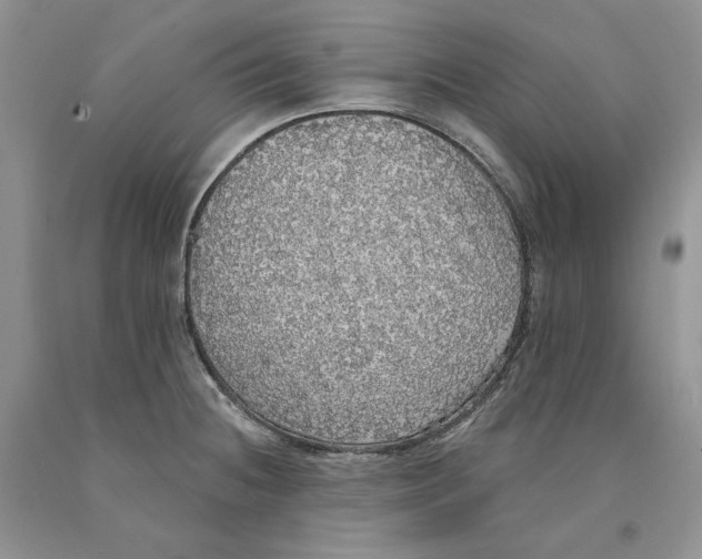 X0000089961236200707271854