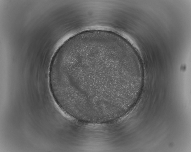 X0000089961237200707271854