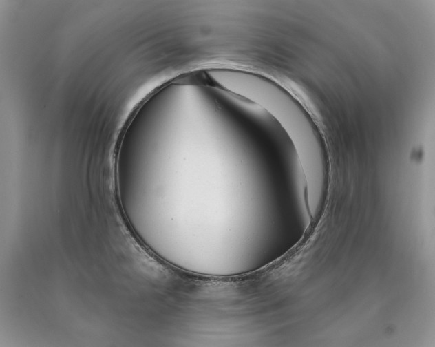 X0000089961238200707271854