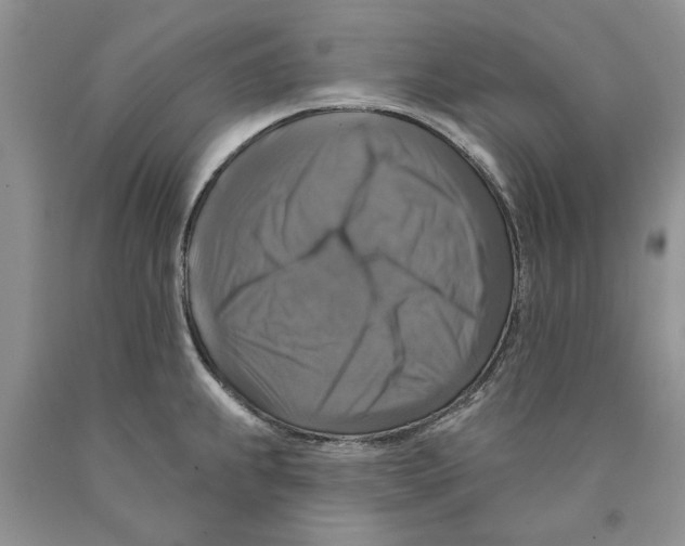 X0000089961239200707271854