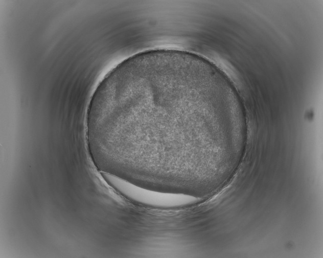 X0000089961240200707271854