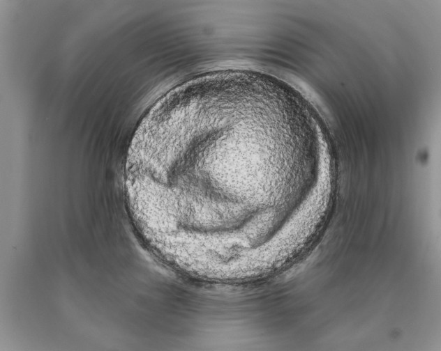 X0000089961241200707271854