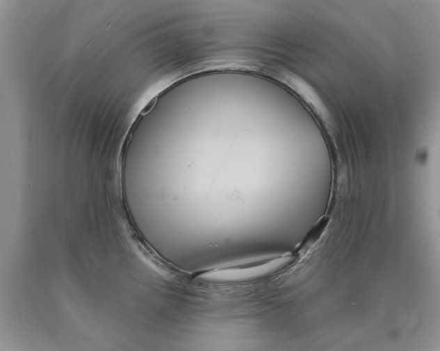 X0000089961242200707271854