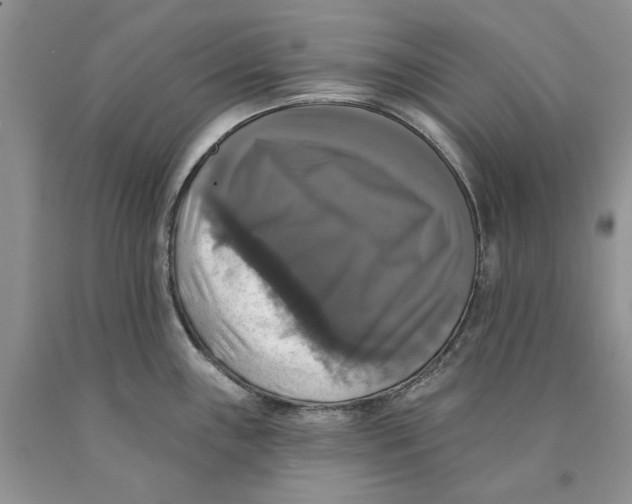 X0000089961243200707271854