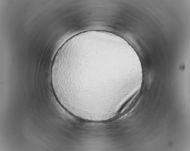 X0000089961244200707271855