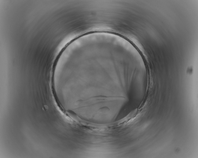 X0000089961245200707271855