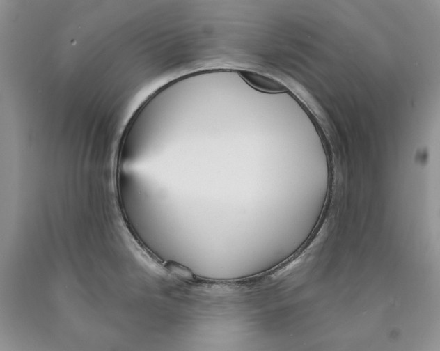 X0000089961246200707271855