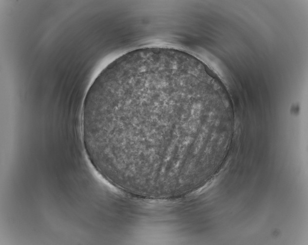 X0000089961247200707271855