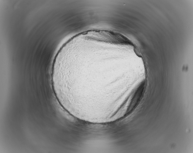 X0000089961248200707271855