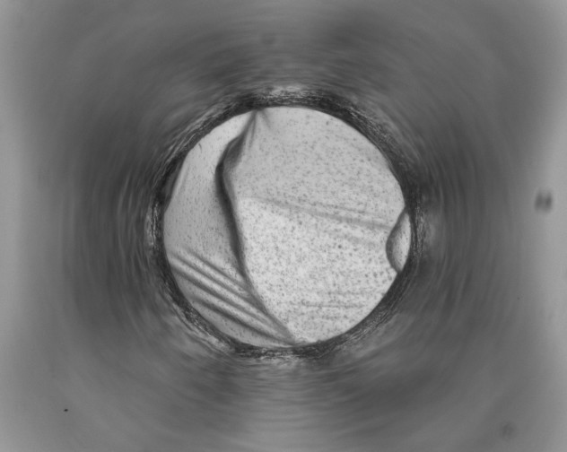 X0000089961250200707271854