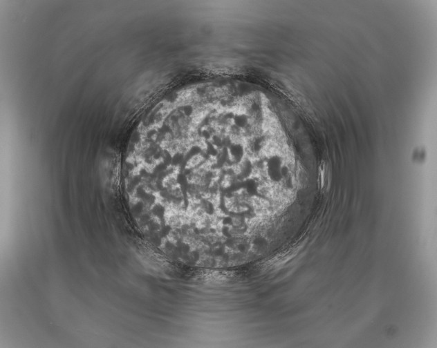 X0000089961251200707271854