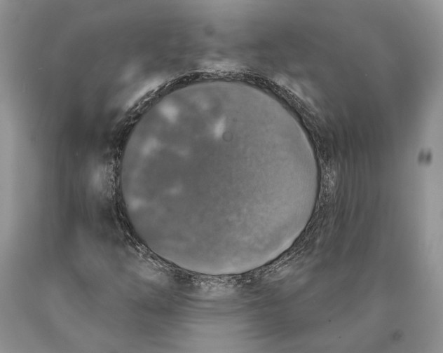 X0000089961254200707271854