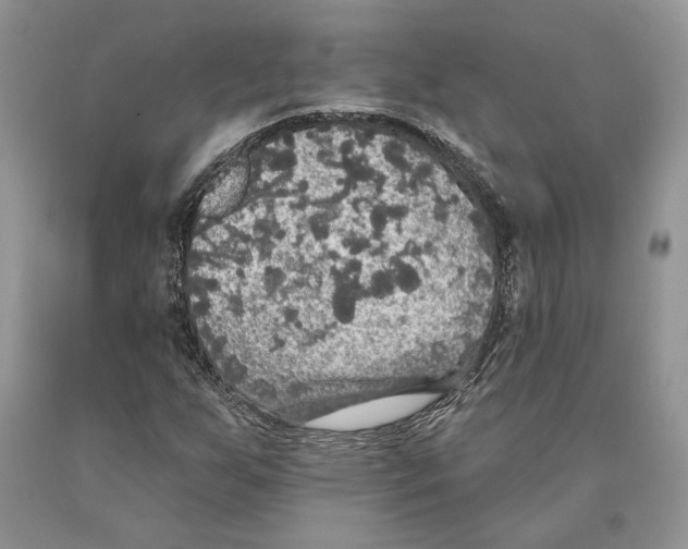 X0000089961255200707271854