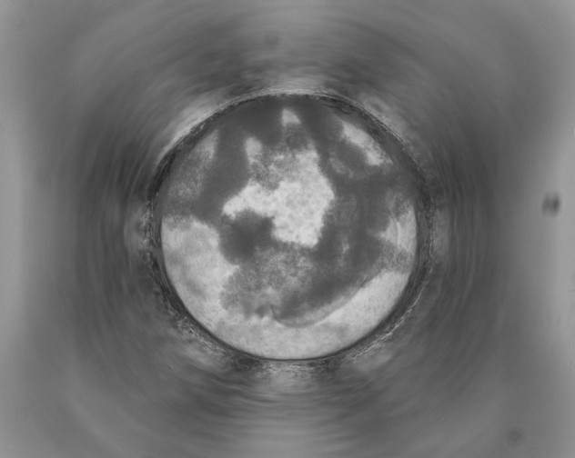 X0000089961258200707271854