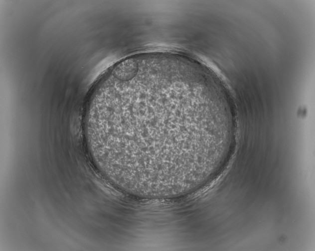 X0000089961259200707271854