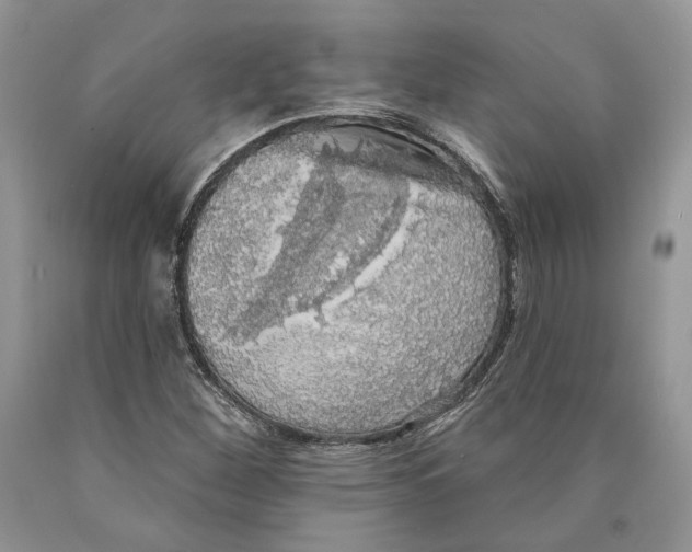 X0000089961260200707271854