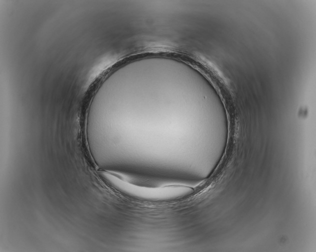 X0000089961261200707271854