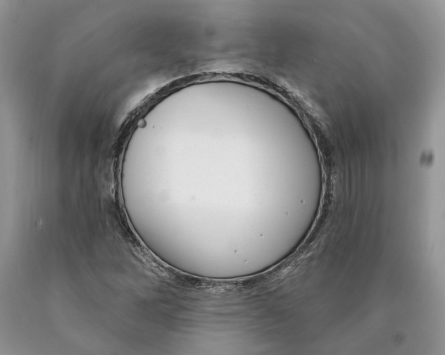 X0000089961262200707271854