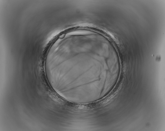 X0000089961263200707271854