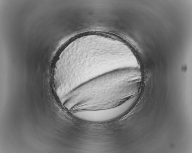 X0000089961264200707271854