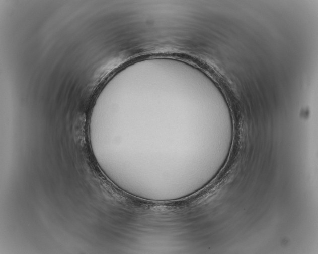 X0000089961265200707271854