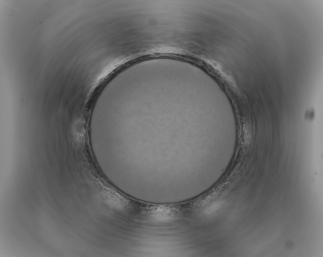 X0000089961266200707271854